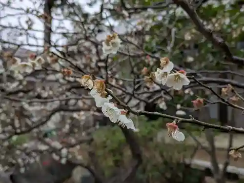 諏訪神社(千葉県)