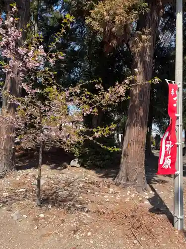諏訪神社(群馬県)