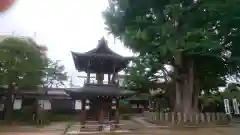 飛騨国分寺(岐阜県)