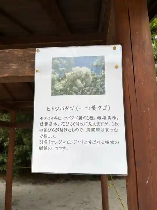 賀茂別雷神社(上賀茂神社)の{uncategorized: "未分類", other: "その他", undefined: "問題あり", building: "その他建物", grave: "お墓", sacred_gate: "鳥居", guardian: "狛犬", statue: "像", buddha: "仏像", history: "歴史", nature: "自然", garden: "庭園", animal: "動物", pagoda: "塔", temizu: "手水舎", mountain_gate: "山門・神門", sanctuary: "本殿・本堂", subordinate: "末社・摂社", art: "芸術", scenery: "景色", jizo: "地蔵", ema: "絵馬", goshuin: "御朱印", omikuji: "おみくじ", items: "授与品その他", amulet: "お守り", goshuincho: "御朱印帳", eats: "食事", festival: "お祭り", votive_dance: "神楽", shichigosan: "七五三参", wedding: "結婚式", experience: "体験その他", initially: "初詣", around: "周辺", anti_infection: "感染症対策"}