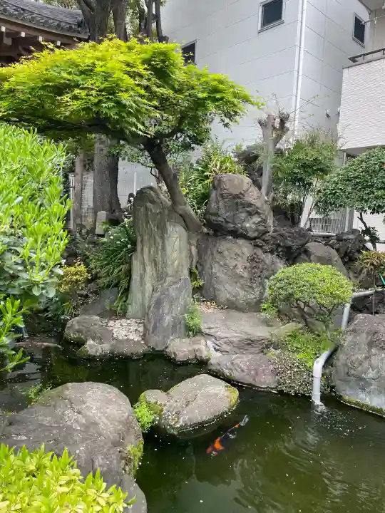 東光寺別院桜ヶ池不動院の{uncategorized: "未分類", other: "その他", undefined: "問題あり", building: "その他建物", grave: "お墓", sacred_gate: "鳥居", guardian: "狛犬", statue: "像", buddha: "仏像", history: "歴史", nature: "自然", garden: "庭園", animal: "動物", pagoda: "塔", temizu: "手水舎", mountain_gate: "山門・神門", sanctuary: "本殿・本堂", subordinate: "末社・摂社", art: "芸術", scenery: "景色", jizo: "地蔵", ema: "絵馬", goshuin: "御朱印", omikuji: "おみくじ", items: "授与品その他", amulet: "お守り", goshuincho: "御朱印帳", eats: "食事", festival: "お祭り", votive_dance: "神楽", shichigosan: "七五三参", wedding: "結婚式", experience: "体験その他", initially: "初詣", around: "周辺", anti_infection: "感染症対策"}