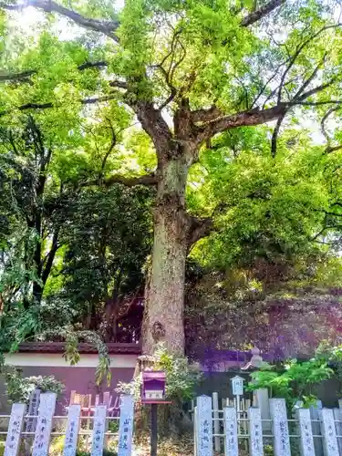 富部神社の建物その他