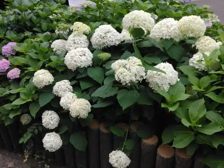 長遠寺(神奈川県)