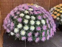 湯島天満宮の庭園