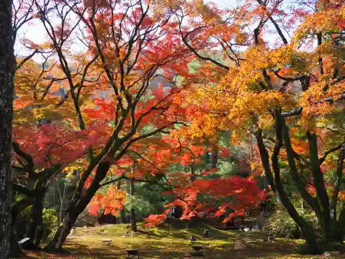 宝厳院(京都府)