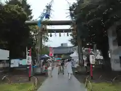 浅草神社の鳥居