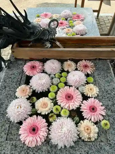 川越八幡宮(埼玉県)