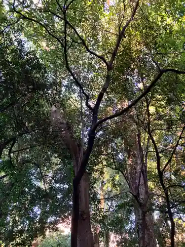 布多天神社(東京都)