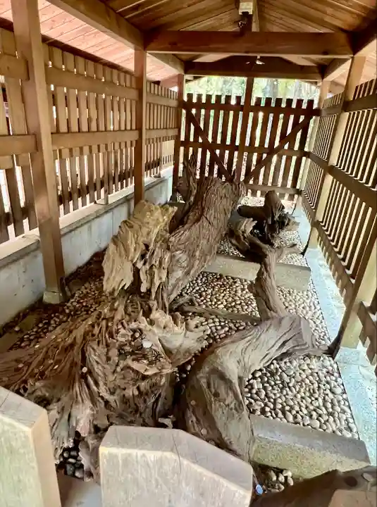 自凝島神社(兵庫県)