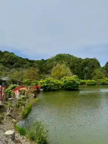 白水阿弥陀堂の{uncategorized: "未分類", other: "その他", undefined: "問題あり", building: "その他建物", grave: "お墓", sacred_gate: "鳥居", guardian: "狛犬", statue: "像", buddha: "仏像", history: "歴史", nature: "自然", garden: "庭園", animal: "動物", pagoda: "塔", temizu: "手水舎", mountain_gate: "山門・神門", sanctuary: "本殿・本堂", subordinate: "末社・摂社", art: "芸術", scenery: "景色", jizo: "地蔵", ema: "絵馬", goshuin: "御朱印", omikuji: "おみくじ", items: "授与品その他", amulet: "お守り", goshuincho: "御朱印帳", eats: "食事", festival: "お祭り", votive_dance: "神楽", shichigosan: "七五三参", wedding: "結婚式", experience: "体験その他", initially: "初詣", around: "周辺", anti_infection: "感染症対策"}
