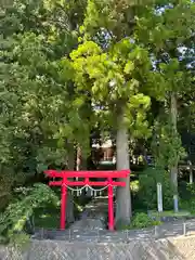 須山浅間神社(静岡県)