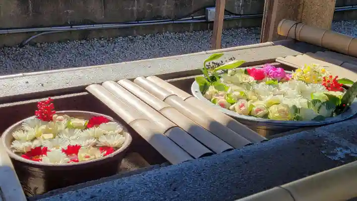 上野東照宮の手水舎