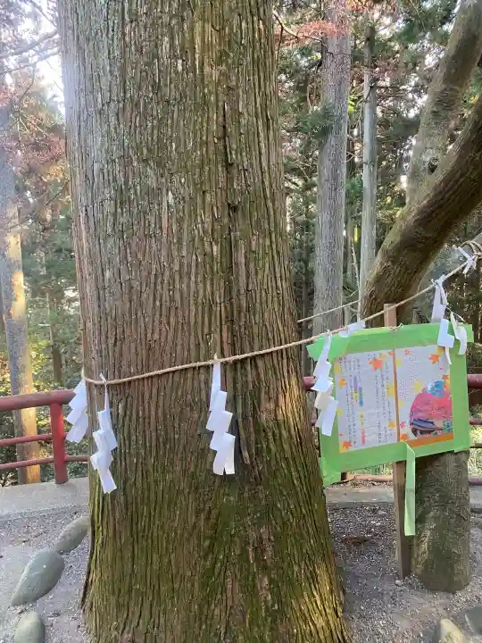 羽黒山神社の{uncategorized: "未分類", other: "その他", undefined: "問題あり", building: "その他建物", grave: "お墓", sacred_gate: "鳥居", guardian: "狛犬", statue: "像", buddha: "仏像", history: "歴史", nature: "自然", garden: "庭園", animal: "動物", pagoda: "塔", temizu: "手水舎", mountain_gate: "山門・神門", sanctuary: "本殿・本堂", subordinate: "末社・摂社", art: "芸術", scenery: "景色", jizo: "地蔵", ema: "絵馬", goshuin: "御朱印", omikuji: "おみくじ", items: "授与品その他", amulet: "お守り", goshuincho: "御朱印帳", eats: "食事", festival: "お祭り", votive_dance: "神楽", shichigosan: "七五三参", wedding: "結婚式", experience: "体験その他", initially: "初詣", around: "周辺", anti_infection: "感染症対策"}