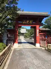 妙蓮寺の山門