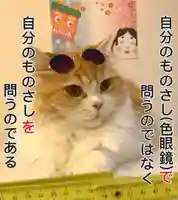 西教寺(下松駅徒歩5分)(山口県)