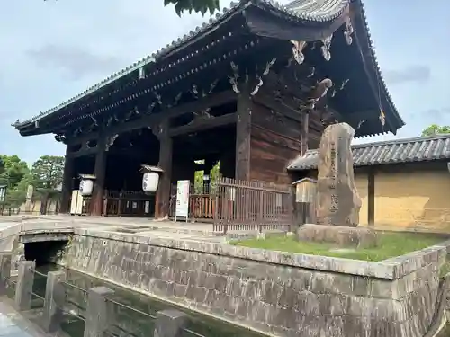 東寺（教王護国寺）(京都府)