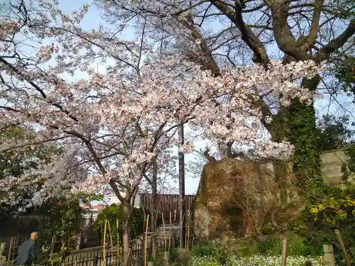 阿智神社の末社