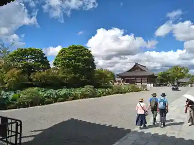 東寺（教王護国寺）(京都府)