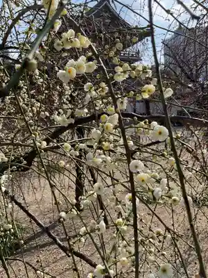 真宗大谷派名古屋別院(愛知県)