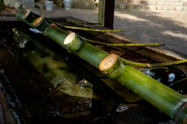 阿蘇神社の手水舎