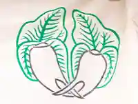 嘉祥寺のその他建物