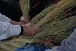 伊太祁曽神社(和歌山県) 2023年12月24日(日)〜(2023年12月01日(金) 15時11分15秒投稿)