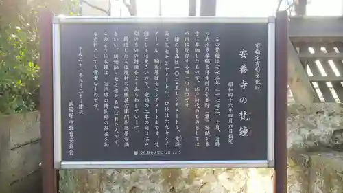 安養寺の歴史