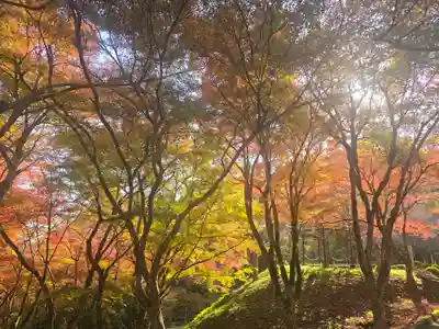 長安寺(京都府)
