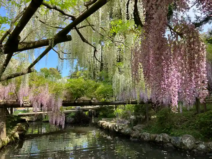 春日大社(奈良県)
