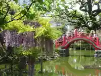 亀戸天神社の庭園