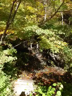 戸隠神社奥社(長野県)