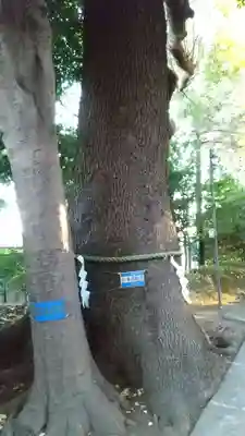 新作八幡宮(神奈川県)