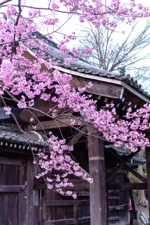 平野神社(京都府)