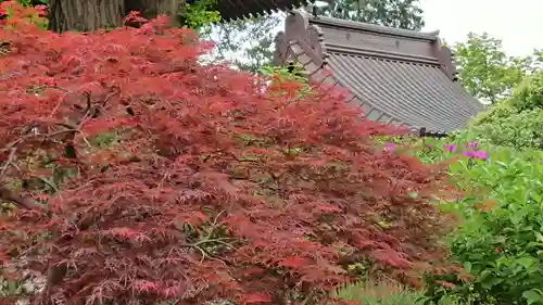 三寳寺の自然