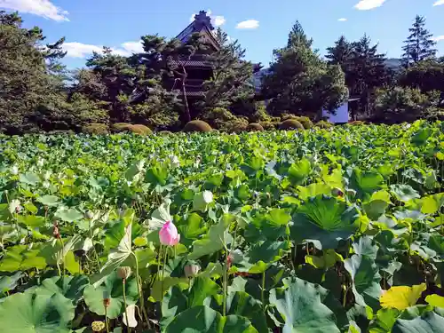 信濃國分寺の景色