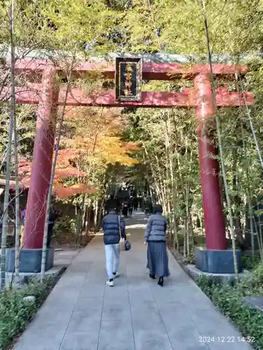 來宮神社(静岡県)