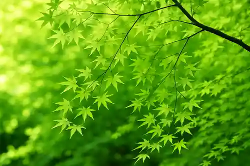 木舟山　順教寺(広島県)