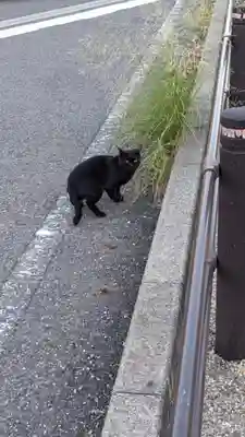 東之宮社の動物