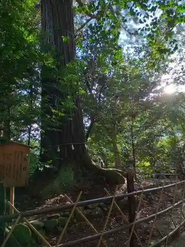 須佐神社(島根県)