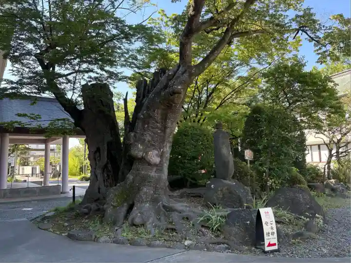 深志神社(長野県)