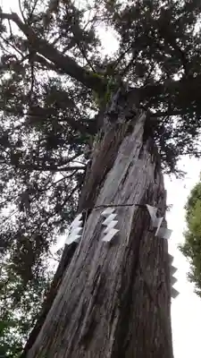 居木神社(東京都)