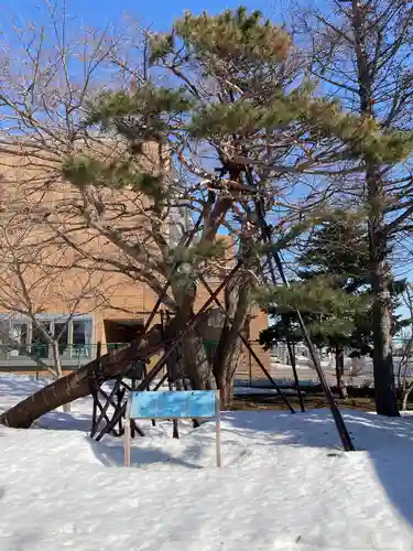 江南神社(北海道)