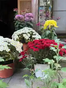 大宮温泉神社(栃木県)(2022年11月10日(木) 15時49分28秒投稿)