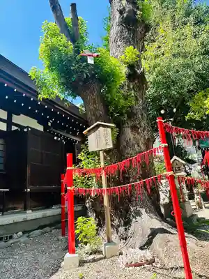 三輪神社(愛知県)