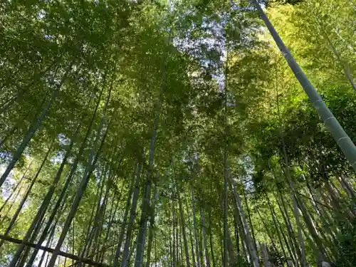 熊野神社の自然