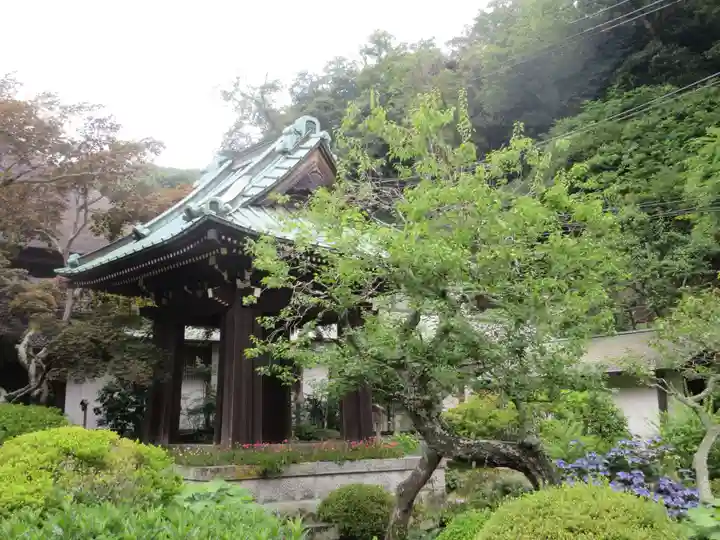 海蔵寺(神奈川県)