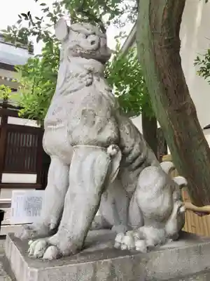 鳥越神社の狛犬