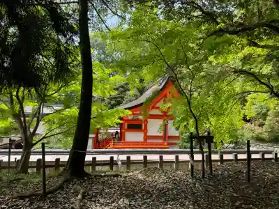 出雲大神宮の{uncategorized: "未分類", other: "その他", undefined: "問題あり", building: "その他建物", grave: "お墓", sacred_gate: "鳥居", guardian: "狛犬", statue: "像", buddha: "仏像", history: "歴史", nature: "自然", garden: "庭園", animal: "動物", pagoda: "塔", temizu: "手水舎", mountain_gate: "山門・神門", sanctuary: "本殿・本堂", subordinate: "末社・摂社", art: "芸術", scenery: "景色", jizo: "地蔵", ema: "絵馬", goshuin: "御朱印", omikuji: "おみくじ", items: "授与品その他", amulet: "お守り", goshuincho: "御朱印帳", eats: "食事", festival: "お祭り", votive_dance: "神楽", shichigosan: "七五三参", wedding: "結婚式", experience: "体験その他", initially: "初詣", around: "周辺", anti_infection: "感染症対策"}