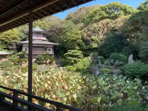 光明寺の庭園