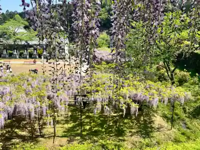 天台宗 五大山 白毫寺(兵庫県)